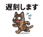 847204104