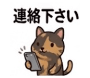 847204118