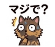 847204121