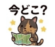 847204123