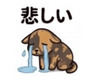 847204129