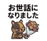 847204131