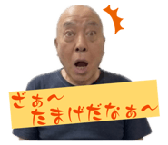 847204499