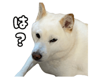 847205702