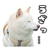 847205709