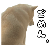 847205711