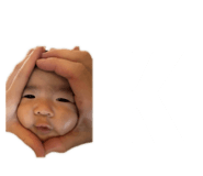 847206987