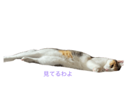 847208268