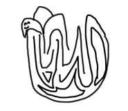 847208484