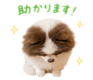 847209138
