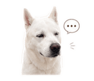 847211314