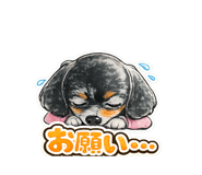 847215766