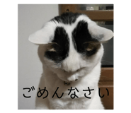 847216272