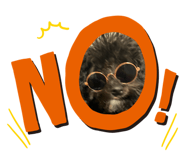 847219561