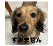 847235699