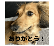 847235704