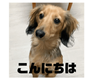 847235706