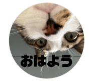 847235707