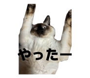 847235714