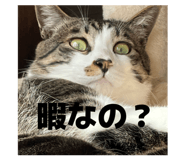 847235719