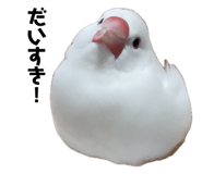847237845