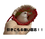 847237846