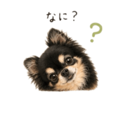 847238047