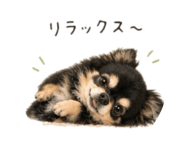 847238051