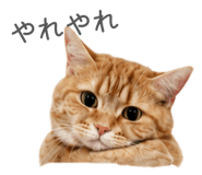 847238065