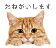 847238069