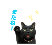 847238946