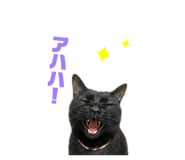 847238948