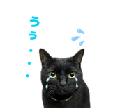 847238949
