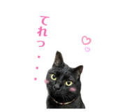 847238950