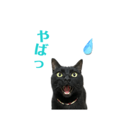 847238951