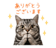 847240659