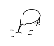 847241155