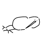 847241156