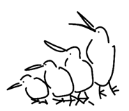 847241162