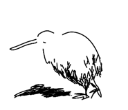 847241168