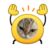 847241291