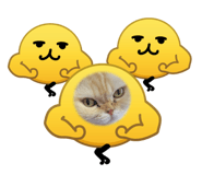 847241294