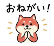 847241498