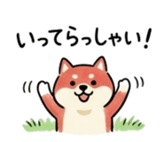 847241500