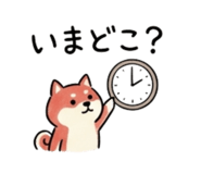 847241502