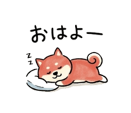 847241503