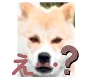 847242157