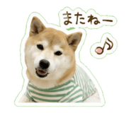 847242323