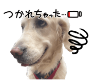 847243421