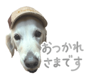 847243427